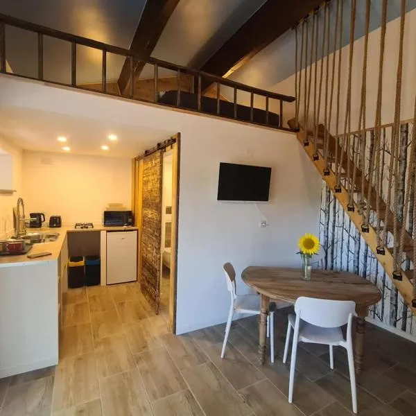Studio mezzanine chez des mushers, hotel a Chassiecq
