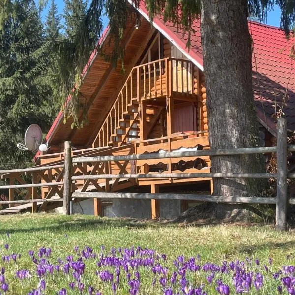 Садиба Урочище Луг, hotel i Vorokhta