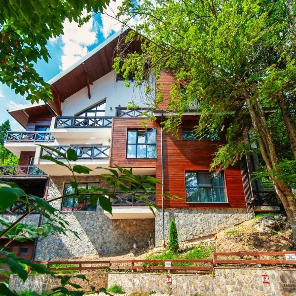 Ama Apartament - Cota 1000 Sinaia, hotel in Sinaia