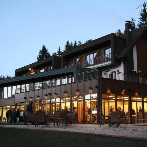 Hotel Rakitna, hotel in Borovnica