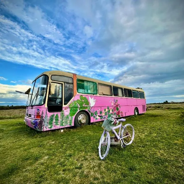 Bus Casa en observatorio de aves, hotel in Puerto Montt