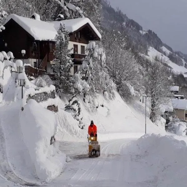 Apartment in Stuhlfelden near Ski Lift, hotel en Stuhlfelden