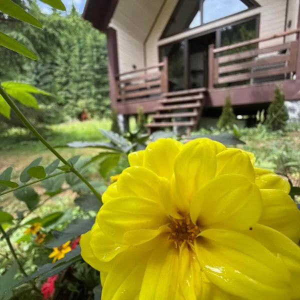 Барнхаус Карпатський подих, Hotel in Krasnyy