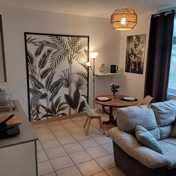 Logement centre ville Buzançais, ξενοδοχείο σε Buzançais