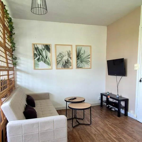 Studio privé, hotel em Vaulx-en-Velin