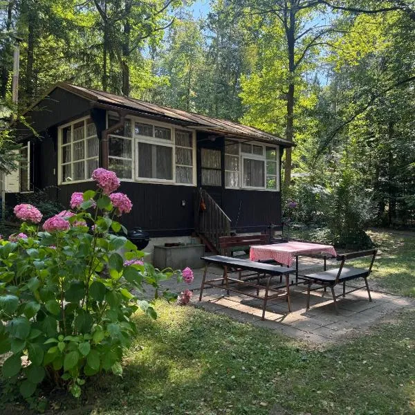 Family fishing hut, ξενοδοχείο σε Starý Petřín