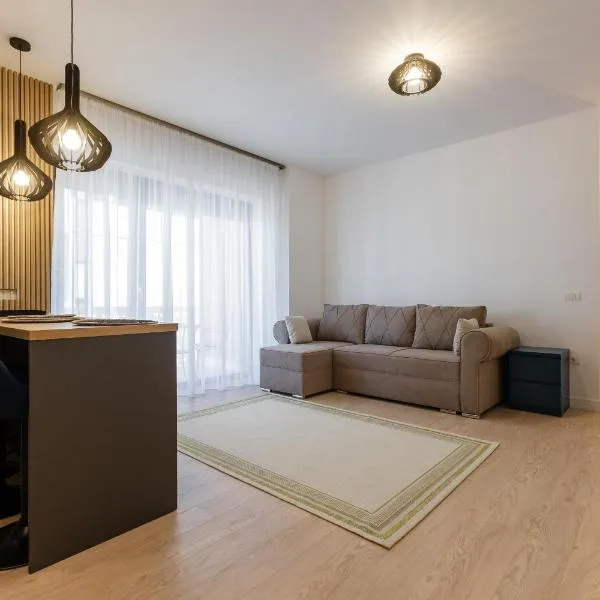 Future Apartment, Hotel in Timişoara