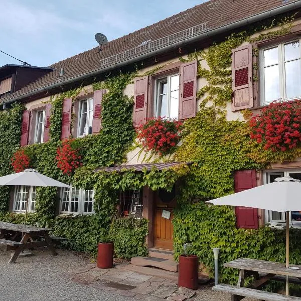 Hôtel du Haut Koenigsbourg- entre vignes et château, Hotel in Thannenkirch