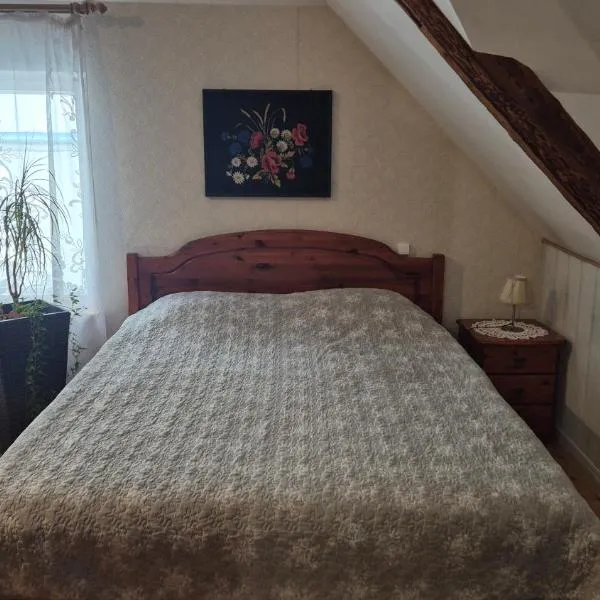 Mulgi Apartment, hotel in Viljandi