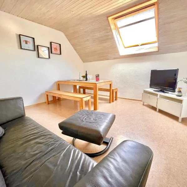 -Am Pfühlpark- Ferienwohnung, ξενοδοχείο στη Χαϊλμπρόν