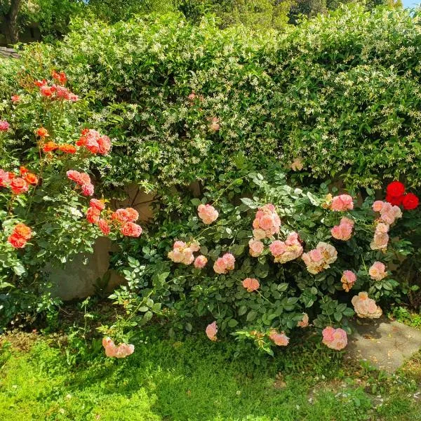 Bliss Corner, hotel in Ostia Antica