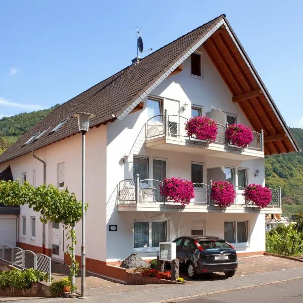 Ferienweingut Klaus Thiesen Gästezimmer und Apartments, hotel in Ellenz-Poltersdorf