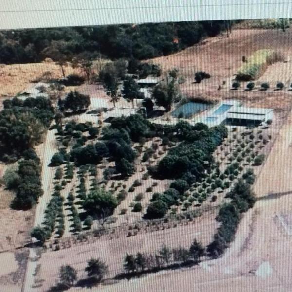 Rancho Nippon - Foto 5