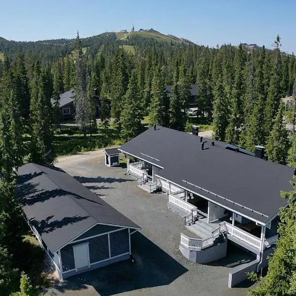 Ruka Snow&Sun 1 - Near Slopes, Sauna, AC, Wifi, Fireplace, Carport, Grill, hotel en Rukatunturi