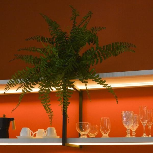 Loft Ferruginosa - 800m do Parque das Águas - Foto 4