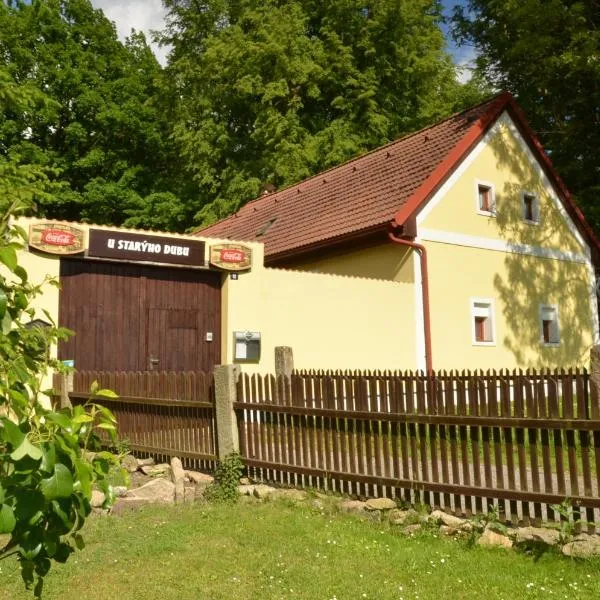 Pension U Starýho Dubu, hotel in Nová Olešná