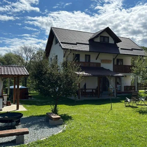 Cabana Umbra Brazilor, hotel in Vişeu de Jos