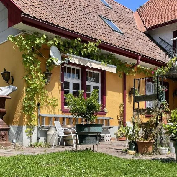 Ferienwohnung Altes Rathaus Bergalingen, hotel in Rickenbach