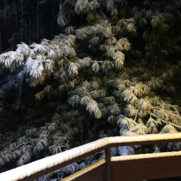 Wood and Fire Chalet, hotel u gradu Borno