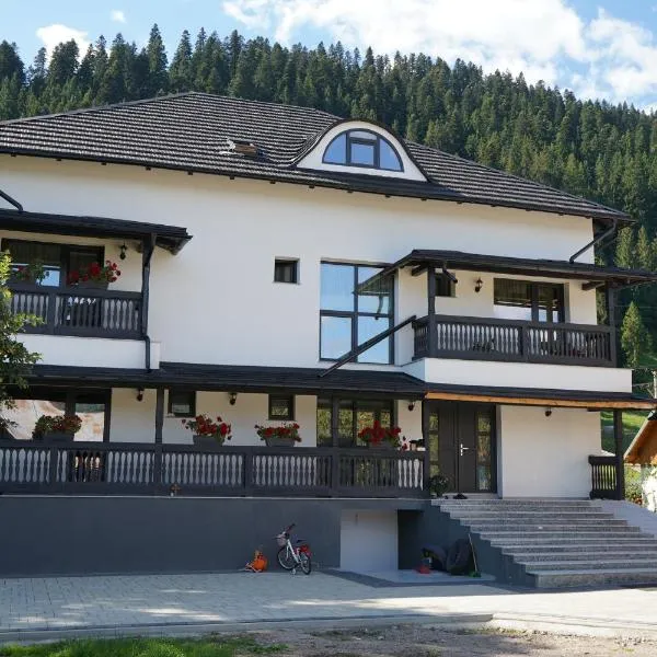 Pensiunea Sâhla, hotel in Câmpulung Moldovenesc