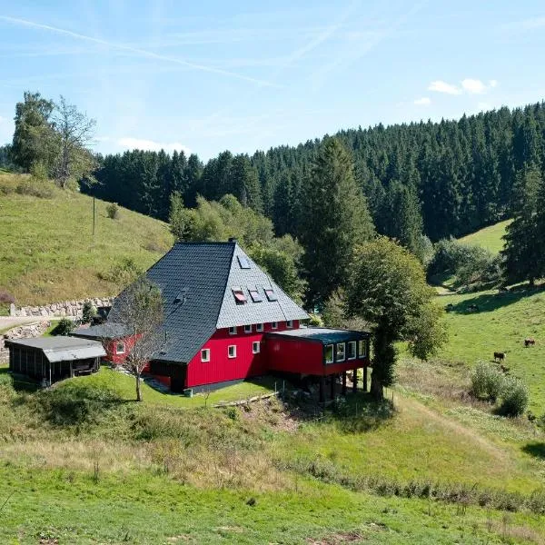 Grundhäusle Gütenbach, hotel a Gütenbach