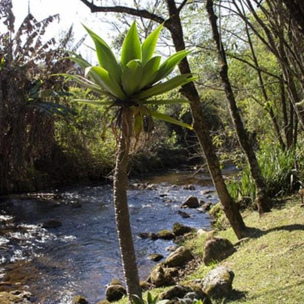 Pousada Riacho Das Pedras - Foto 5