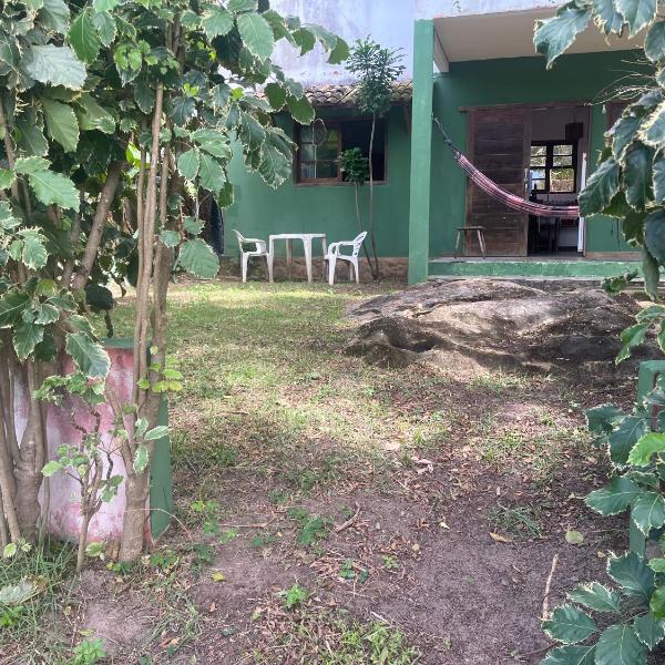 Casa Roots