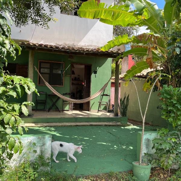 Casa Roots