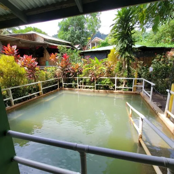 Tia's Bamboo Cottages Restaurant, Bar & Sulphur Spa, hotel v destinaci Roseau