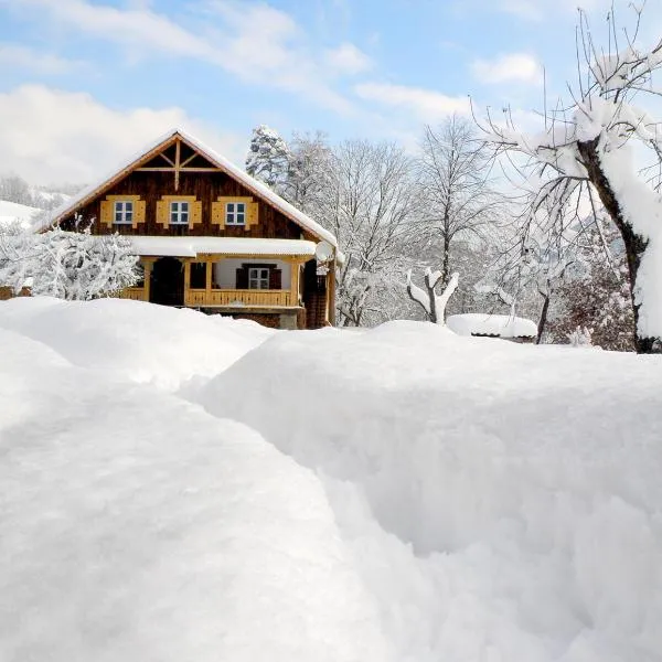 Salamandra Village, готель в Орявчику