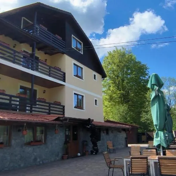 Pârâul Rece Transfăgărășan, hotel v destinaci Cîrţişoara