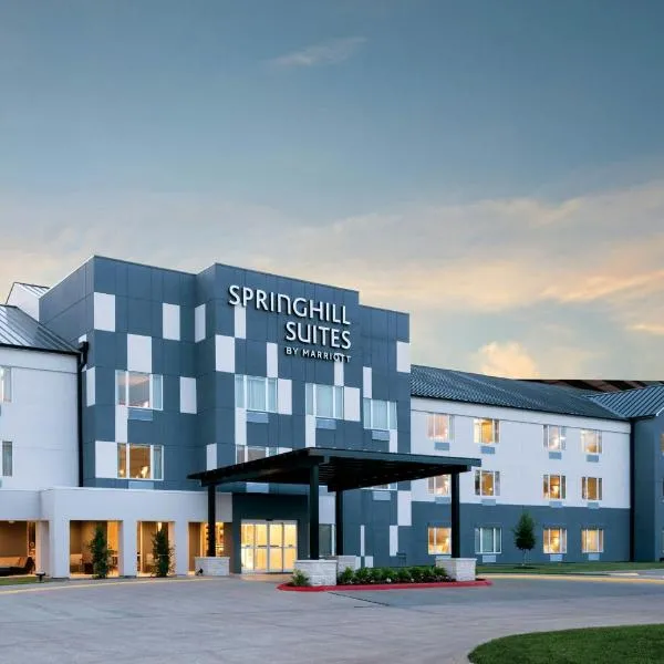 SpringHill Suites by Marriott Houston Brookhollow, viešbutis Hiustone