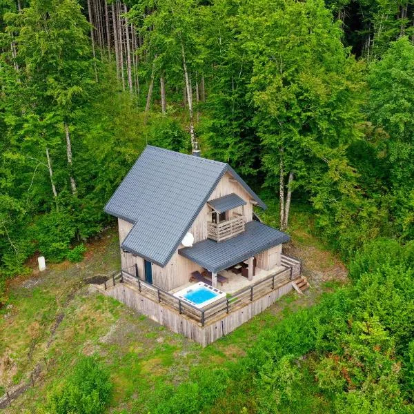 Chalet Dream Sky, hotel in Mrkopalj