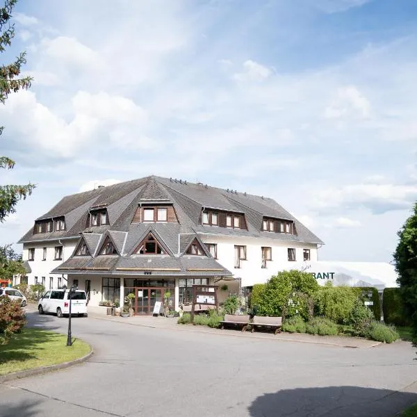 Hotel Waldesruh, hotel in Lengefeld