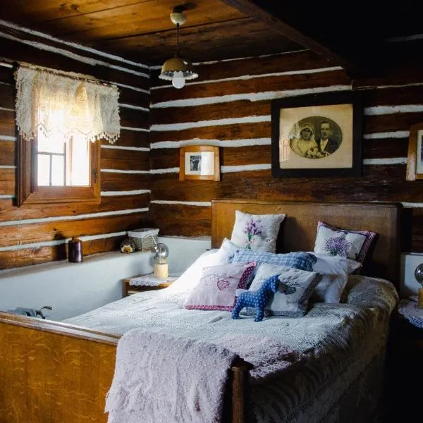 Srub v županu, hotel in Prachatice