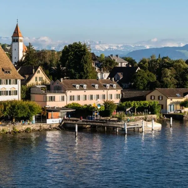 Boutiquehotel Sonne Küsnacht - Zürich，位于屈斯纳赫特的酒店