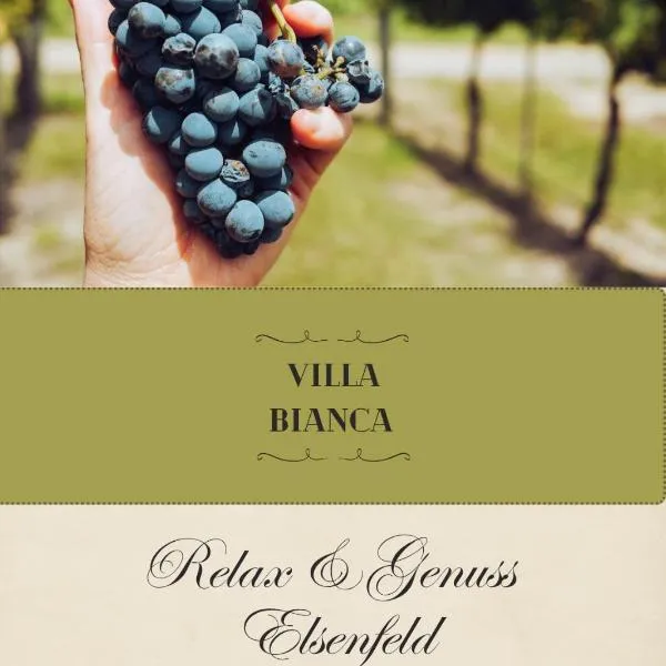 Villa Bianca - Holiday & Business, hotel in Elsenfeld