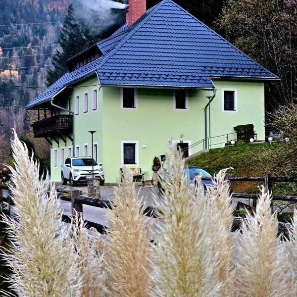 Villa Alpine Spirit, ξενοδοχείο σε Gösing an der Mariazeller Bahn