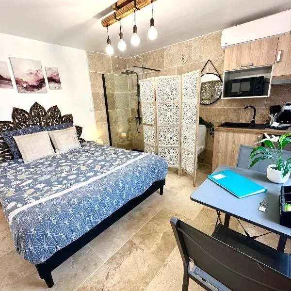 Les Appartements du Mas - Studio Améthyste, hotel in Saint-Laurent-dʼAigouze