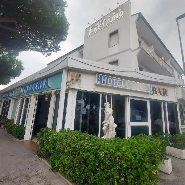 Hotel Nettuno, hotel in Punta Marina
