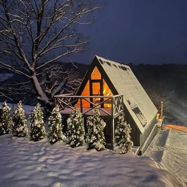 Lav inn Polyana Затишок, hotel di Polyana