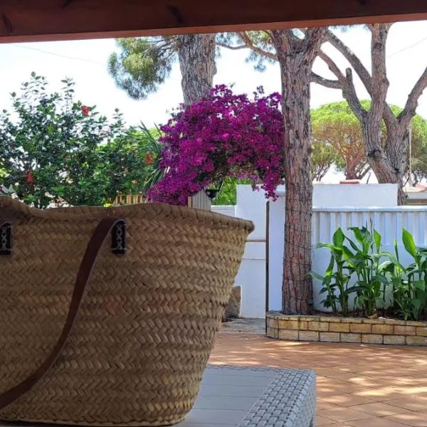 Doña Violeta - La Barrosa, hotel v destinaci Novo Sancti Petri