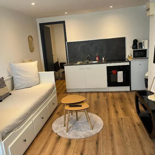Charmant Studio à Rixheim, hotel a Rixheim