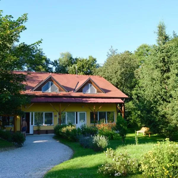 Apartments Vita Center, hotel v destinaci Rogaška Slatina