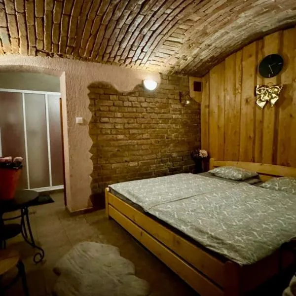 Sklepní apartmán se saunou, hotel in Plzeň