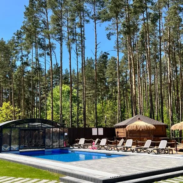 Leśne Ustronie, hotel in Lubiszewo