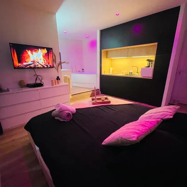 La suite Tournonaise, hotel in Tournon-sur-Rhône