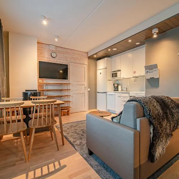 Levillas Skimbaajankuja 7 A8 – hotel w mieście Levi