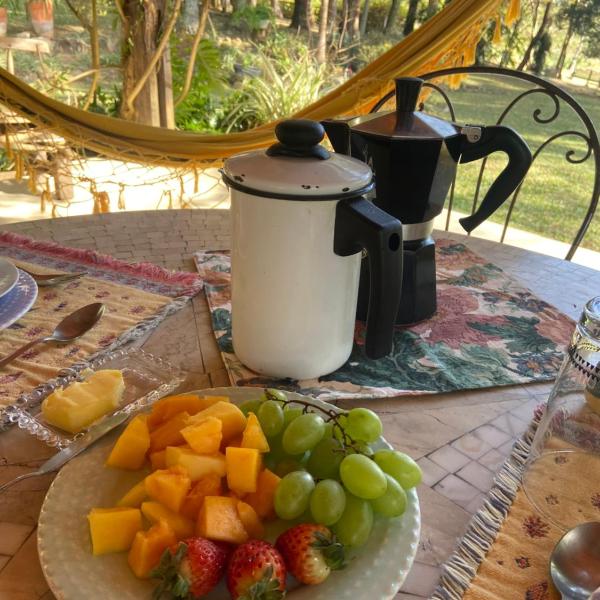 Abraço da Natureza 2km Est do Vinho - Foto 5