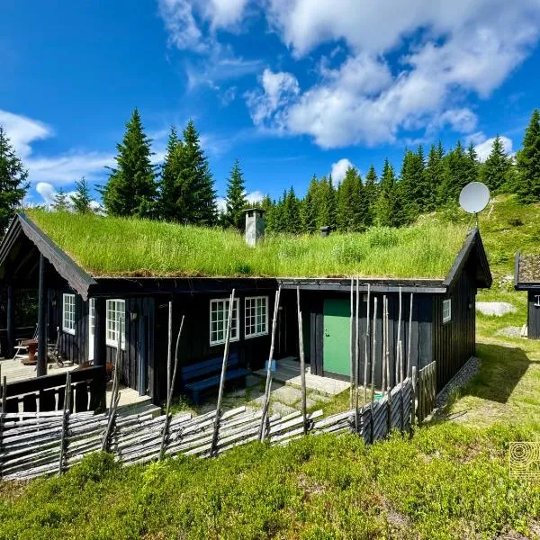 Cozy spacious cabin with sauna at Natrudstilen, hotel em Ringsaker